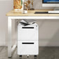 2-Drawer Mobile Steel Pedestal File Cabinet with Lock - (Gen 2)