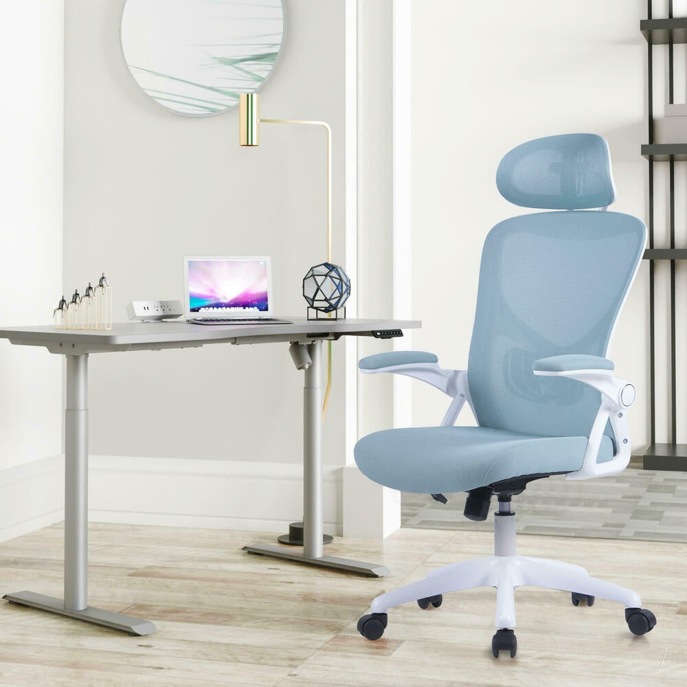 Luxury Ergonomic Mesh Office Chair with Three-Stage Lumbar Support & Flip-Up Armrests - Black