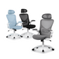 Luxury Ergonomic Mesh Office Chair with Three-Stage Lumbar Support & Flip-Up Armrests - Black